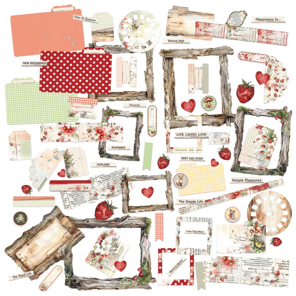 49 & Market Nature's Haven collection.