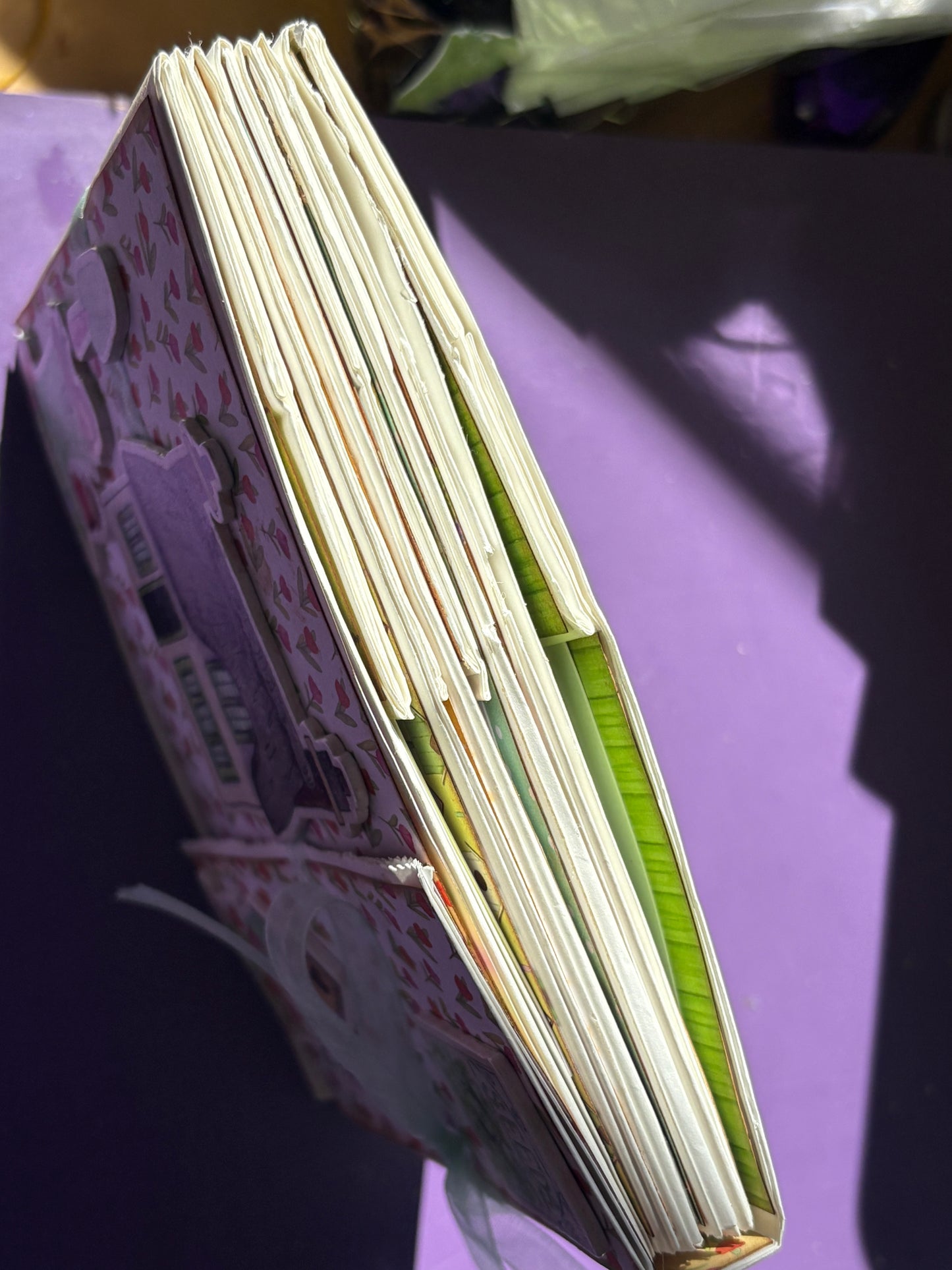 Mini Book workshop.