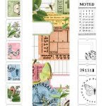 Field Notes Folio