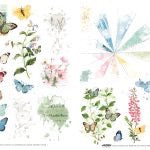 Field Notes Folio